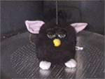 furbytest_1