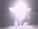 furbytest_2