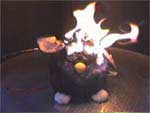 furbytest_3