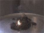 furbytest_4